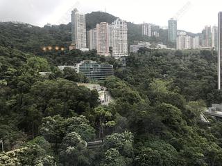 Wan Chai - Star Crest Block 1 03