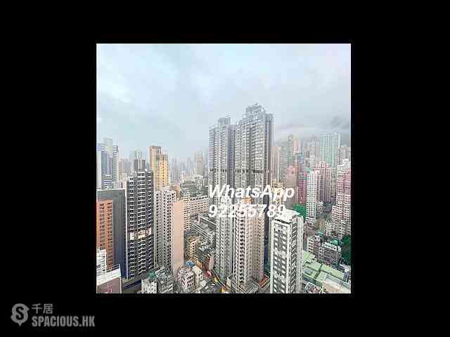 Sai Ying Pun - Artisan House 02