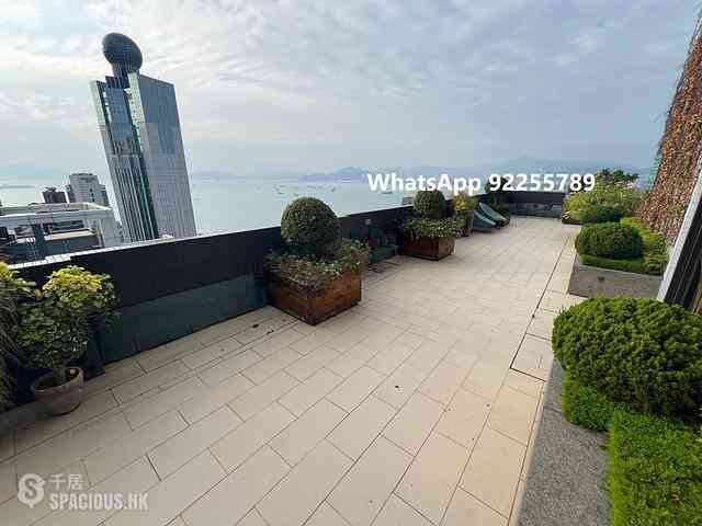 Sai Ying Pun - Artisan House 12