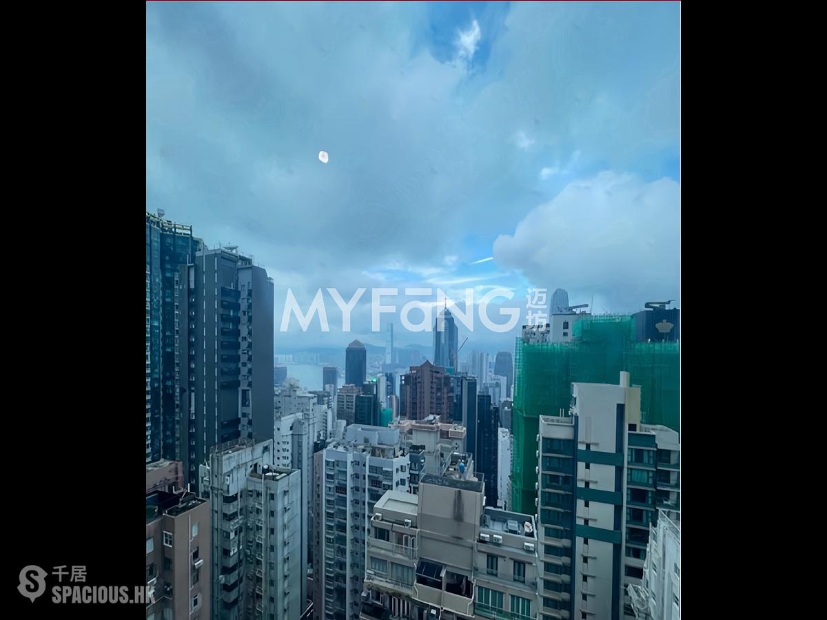 中半山 - 羅便臣道31號 01