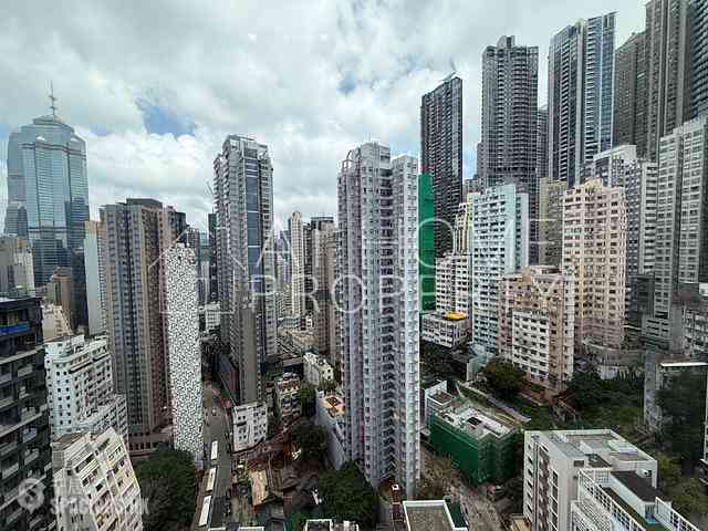 Poho - Rich View Terrace 12