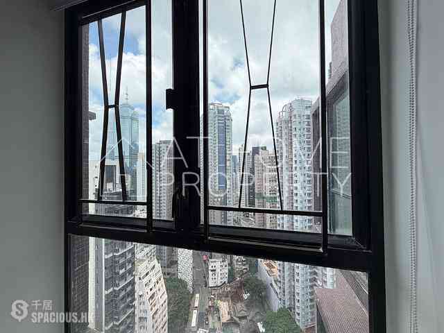 Poho - Rich View Terrace 11