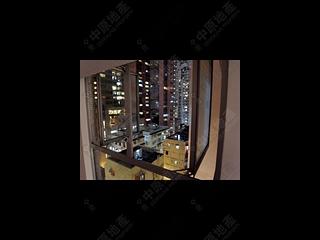 西營盤 - 高雅閣 14