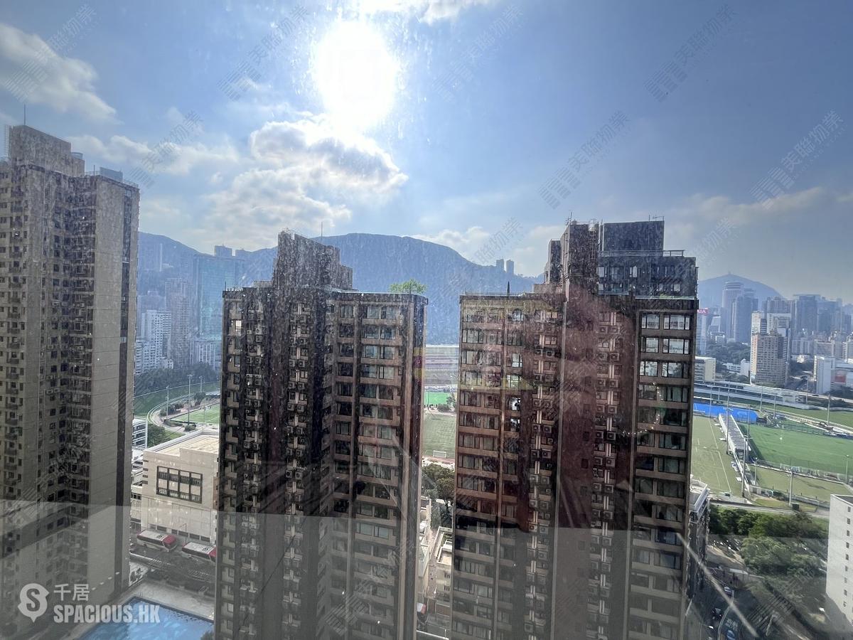 跑马地 - 乐活台 01