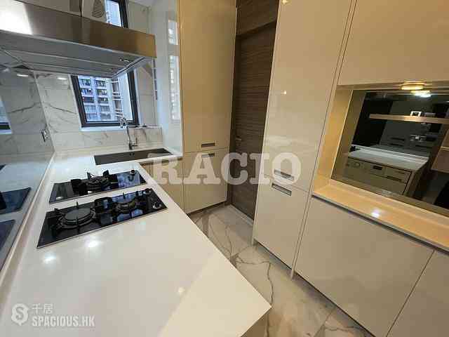 Mid Levels Central - Park Rise 07