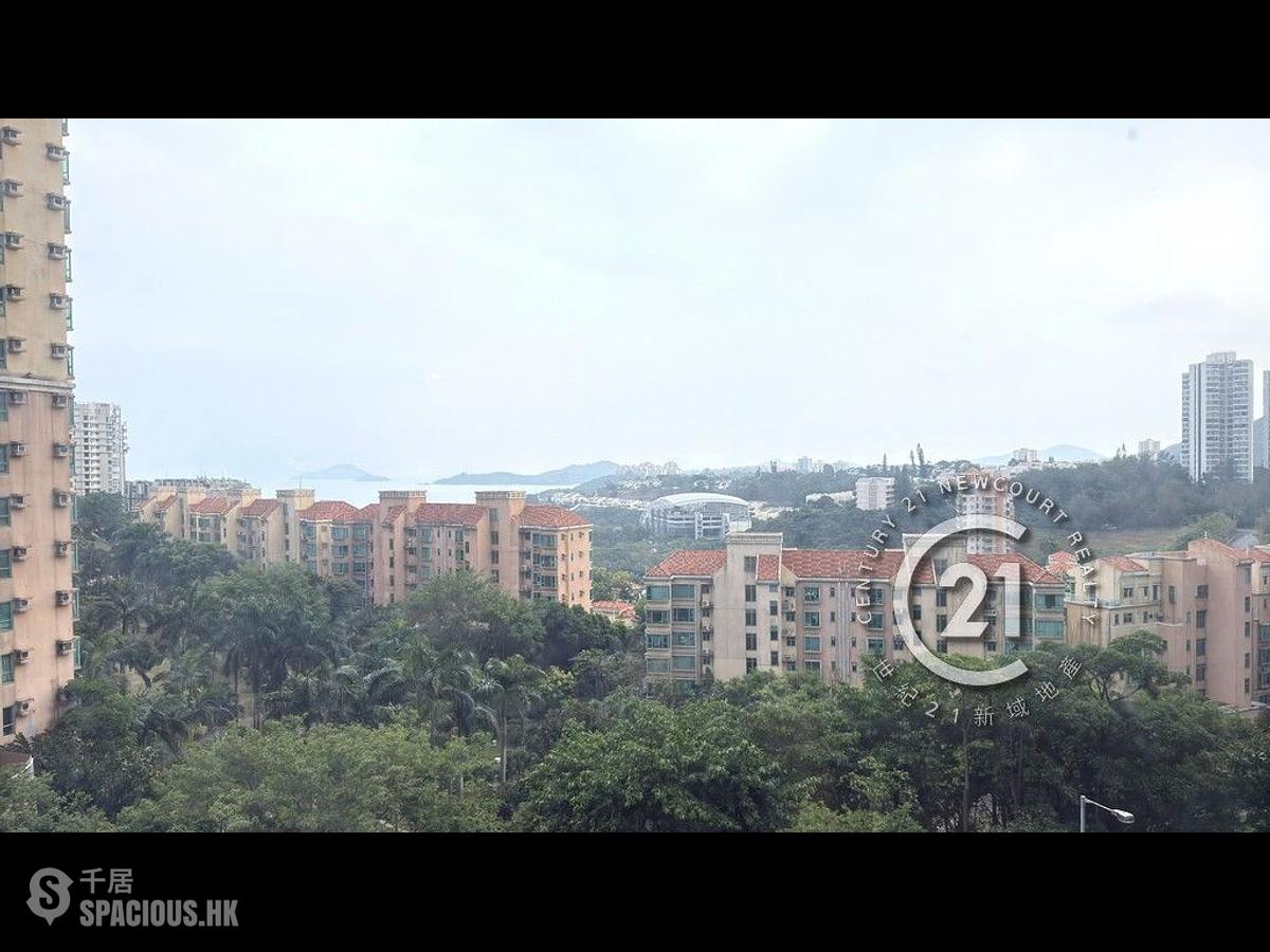 Discovery Bay - Discovery Bay Phase 10 Neo Horizon 01