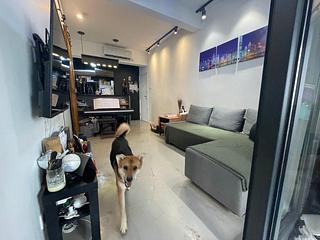 Sheung Wan - Tai Wing House 09
