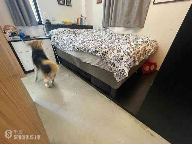 Sheung Wan - Tai Wing House 04