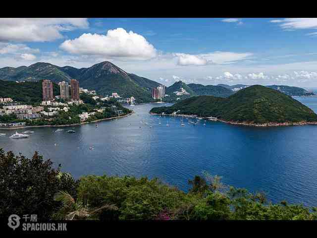 Wong Chuk Hang - Manly Villa 02