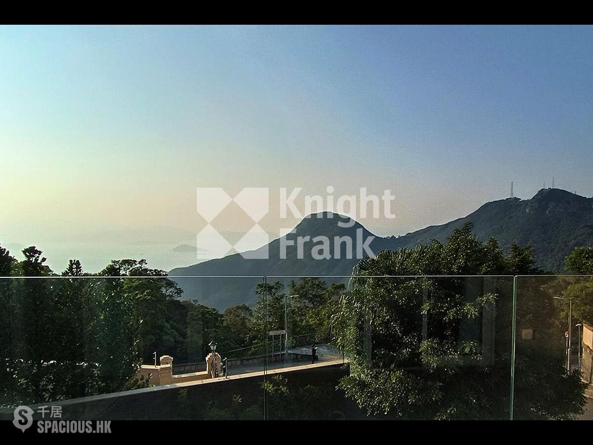山顶 - 瑞燕大厦 01