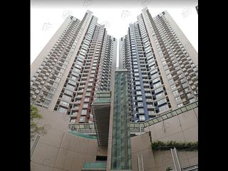 Central - Hollywood Terrace 07