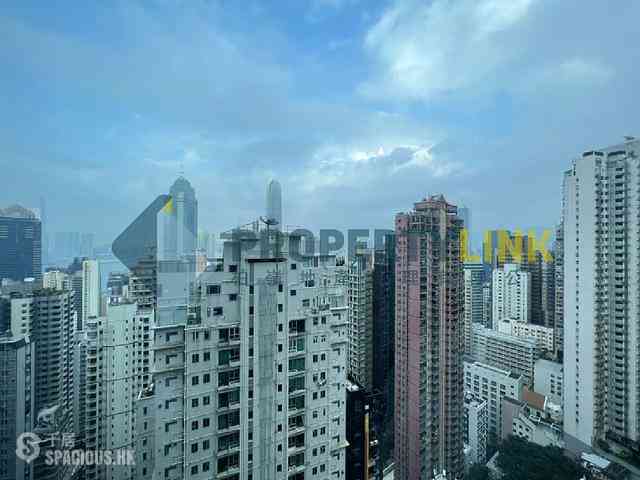Mid Levels Central - Palatial Crest 07