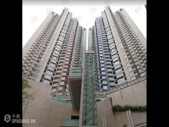 Central - Hollywood Terrace 07