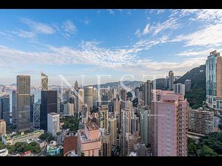 中半山 - 花园台 16