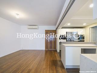 Mid Levels Central - Robinson Place 03