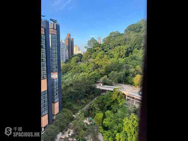 Tai Hang - Dragon Centre Block 1 01