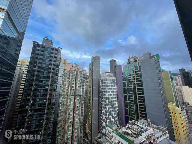 Causeway Bay - Diva 02