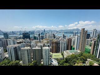 Braemar Hill - Sky Scraper 05