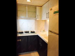 中半山 - 寶樺臺 06