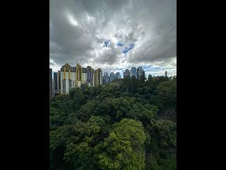 Yau Ma Tei - King's Park Villa 16