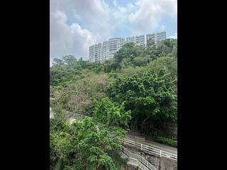 North Point - Bedford Gardens 02