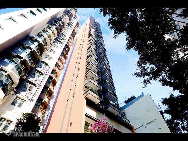 Shek Tong Tsui - The Hilltop 20