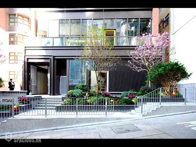 Shek Tong Tsui - The Hilltop 35
