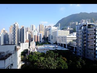 Shek Tong Tsui - The Hilltop 37