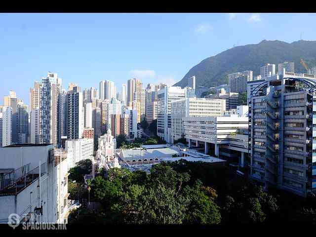 Shek Tong Tsui - The Hilltop 37