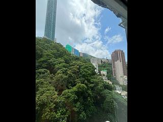 跑馬地 - 山光苑 04