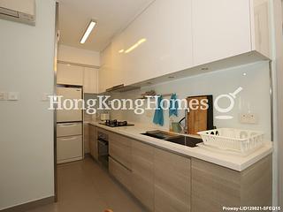 Poho - Rich View Terrace 07