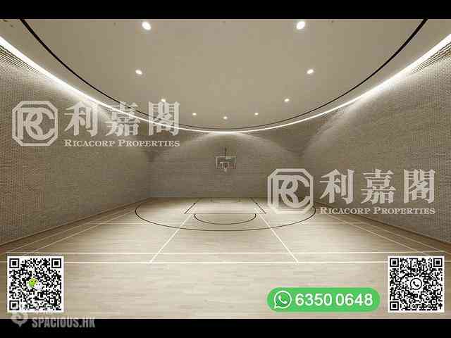 清水湾 - 傲泷 42