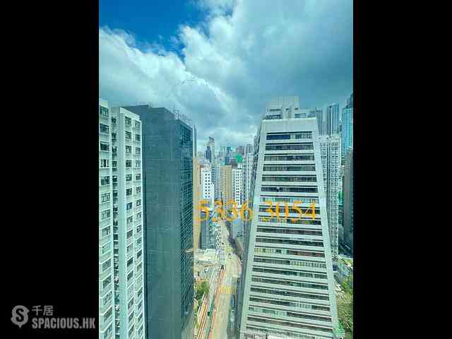 Sheung Wan - Medal Court 08