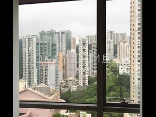Causeway Bay - Jones Hive 06