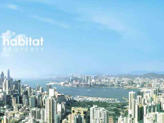 Tai Hang - The Legend 01