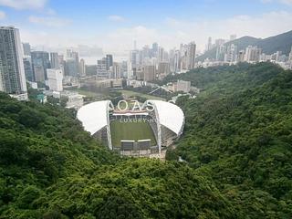 Happy Valley - Broadwood Park 02