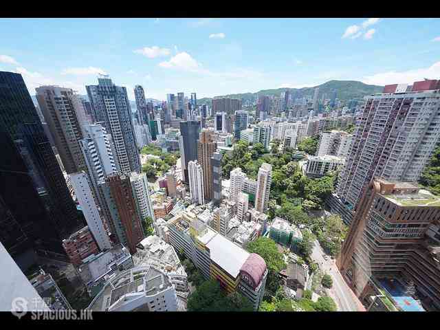 東半山 - 竹林苑 07