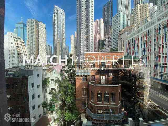 Poho - Rich View Terrace 08
