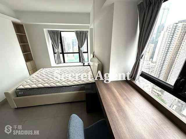 Poho - Rich View Terrace 12