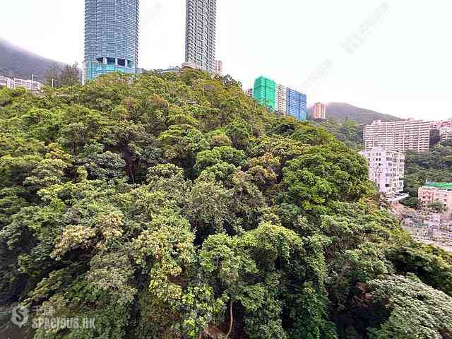 Happy Valley - Shan Kwong Towers 03
