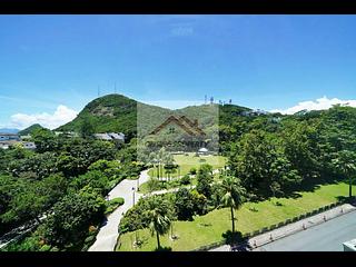 The Peak - The Mount Austin 08
