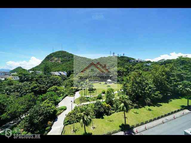 The Peak - The Mount Austin 08