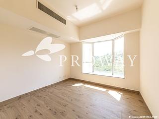 Stanley - Redhill Peninsula 09