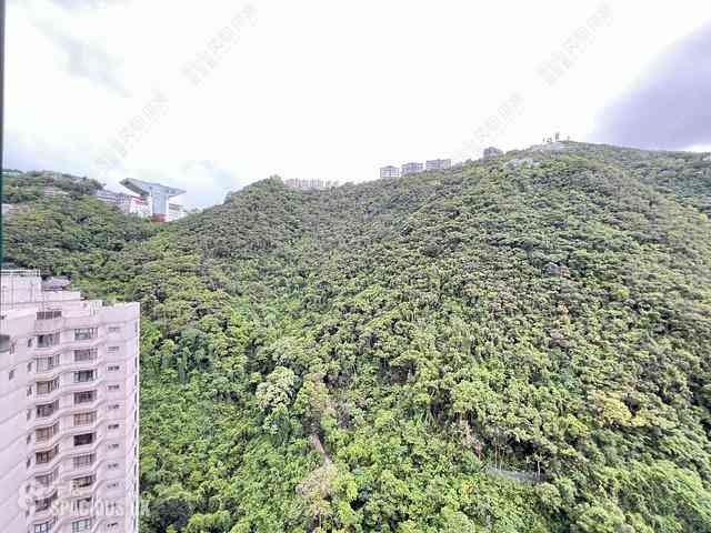 中半山 - 晓峰阁 07