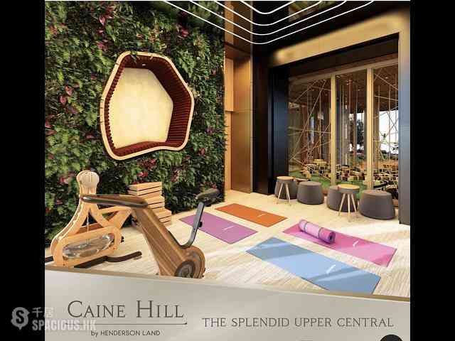 Soho - Caine Hill 05