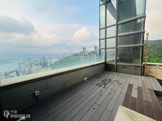 大坑 - 春晖8号 38