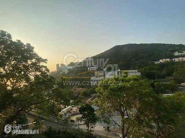Pok Fu Lam - 3, Consort Rise 47