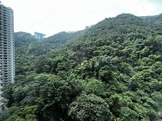 中半山 - 晓峰阁 02