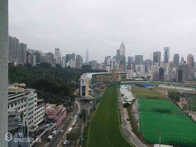 Happy Valley - Unique Tower 08