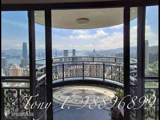 中半山 - 嘉富麗苑1座 01